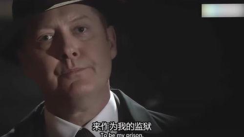 黑名单第四季在线观看,揭秘暗网风云，追踪网络犯罪黑手  第3张